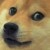 Profile picture of kyle